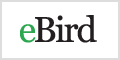 ebird.org