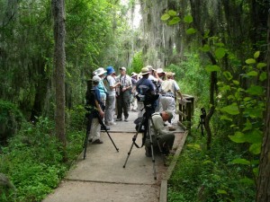 Santa Ana NWR