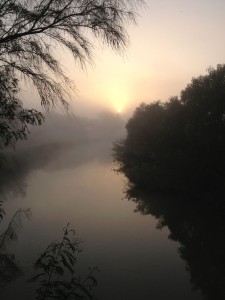 sunrise at Bentsen Rio Grande SP - near McAllen TX - 2012-12-06 IMG_2202 sunrise at Bentsen Rio Grande SP - near McAllen TX - 2012-12-06