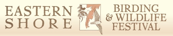 Eastern Shore Birding and Wildlife Festival
