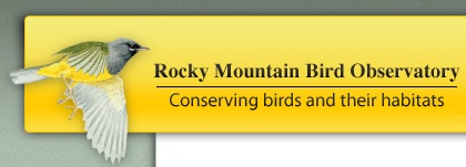 Rocky Mountain Bird Observatory